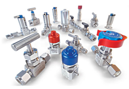 Process Valves